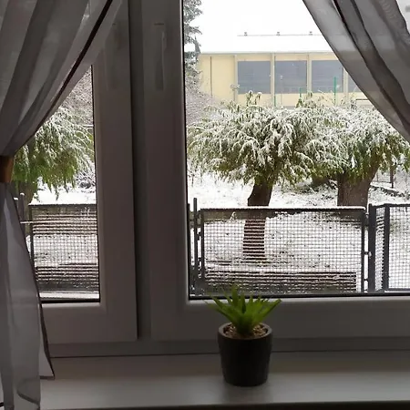 Kamil W Centrum كارباش