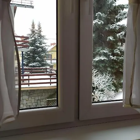 Kamil W Centrum Karpacz